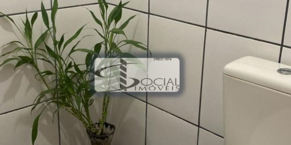 batch_WhatsApp Image 2025-10-23 at 08.37.17 (1)