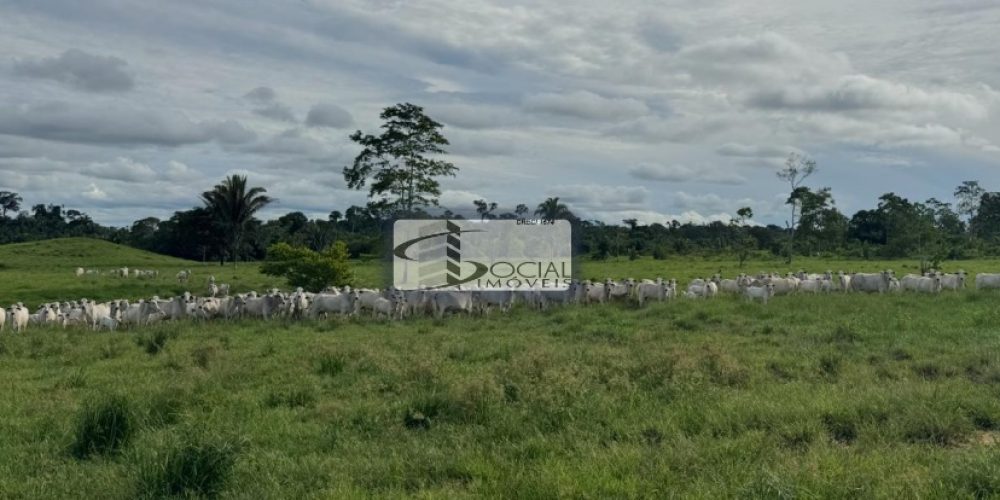 batch_WhatsApp Image 2026-01-15 at 16.41.55 (2)