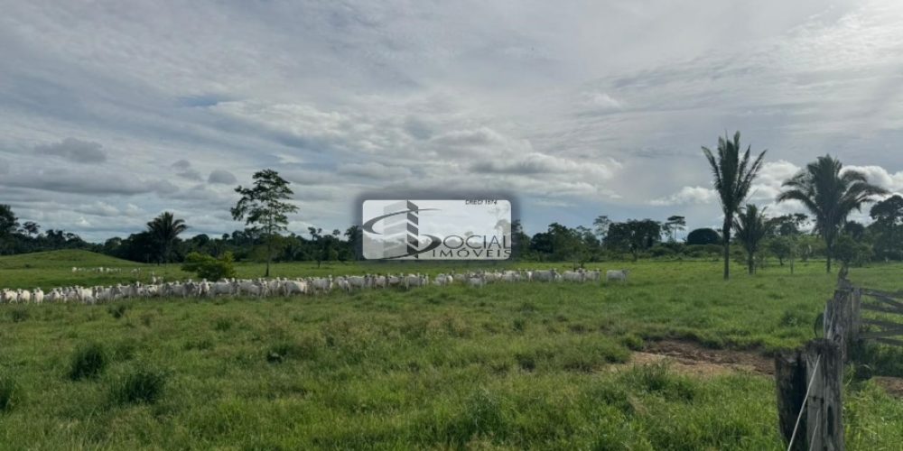 batch_WhatsApp Image 2026-01-15 at 16.41.55