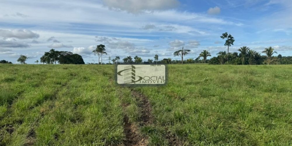 batch_WhatsApp Image 2026-01-15 at 16.41.56 (1)