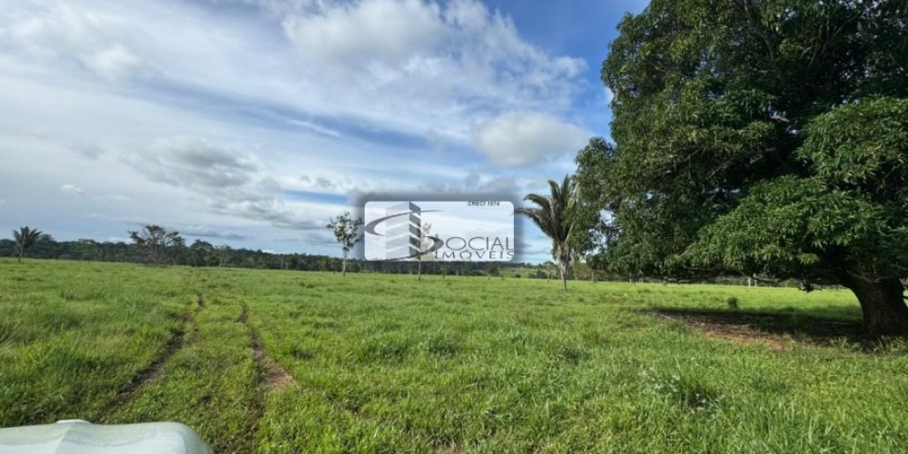 batch_WhatsApp Image 2026-01-15 at 16.41.56 (2)