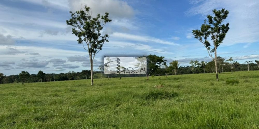 batch_WhatsApp Image 2026-01-15 at 16.41.56