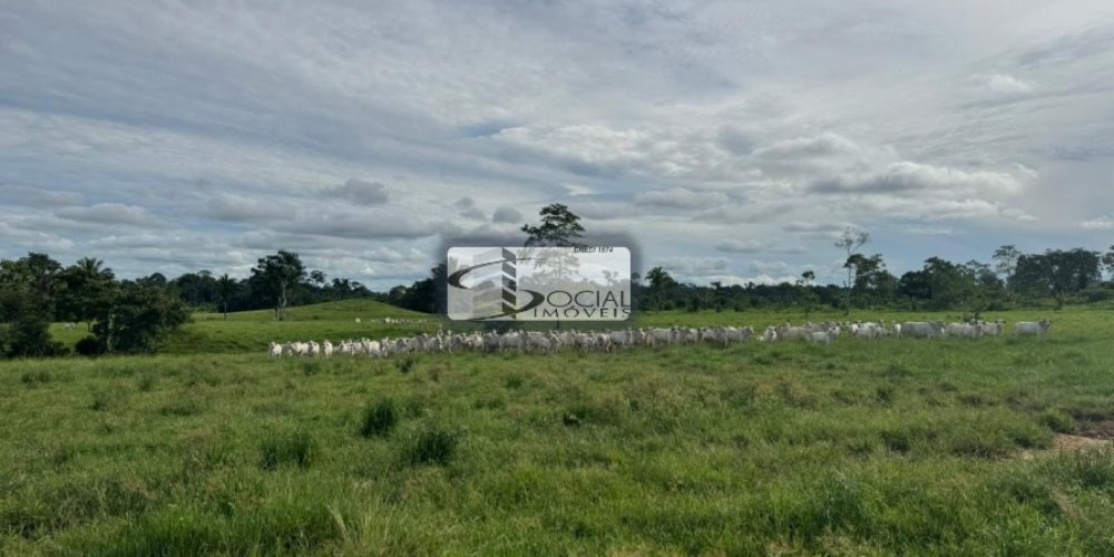 batch_WhatsApp Image 2026-01-15 at 16.41.57 (2)