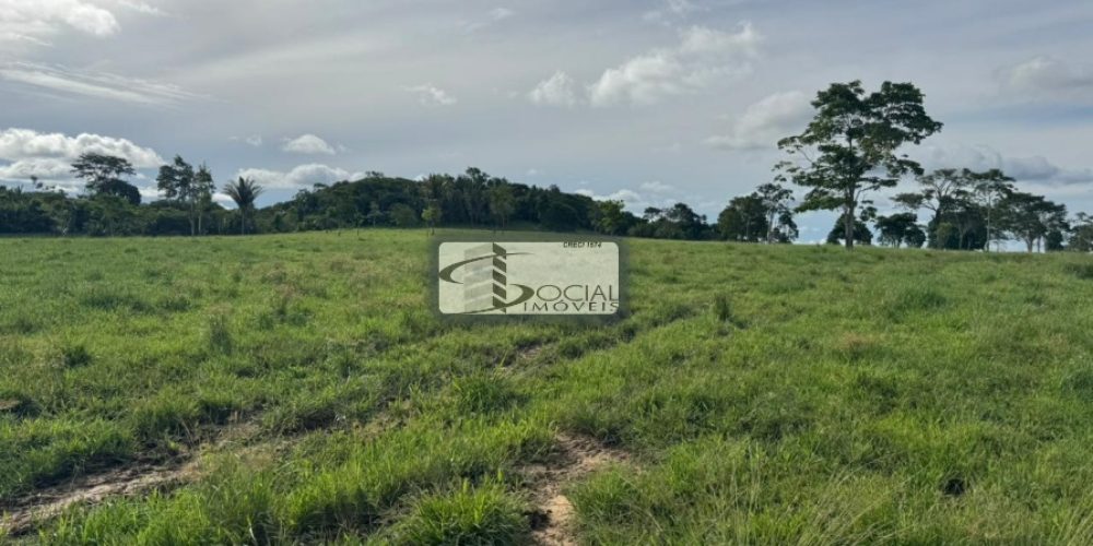 batch_WhatsApp Image 2026-01-15 at 16.41.57