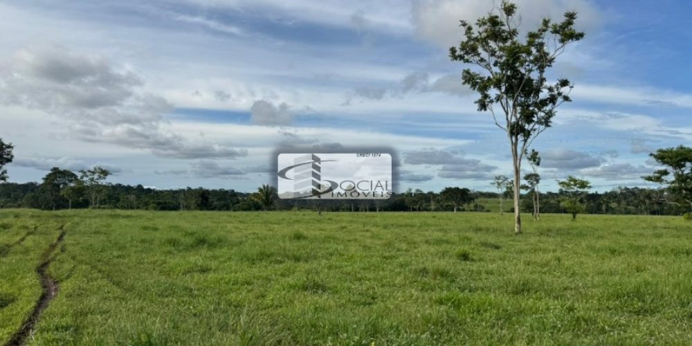 batch_WhatsApp Image 2026-01-15 at 16.41.58 (3)