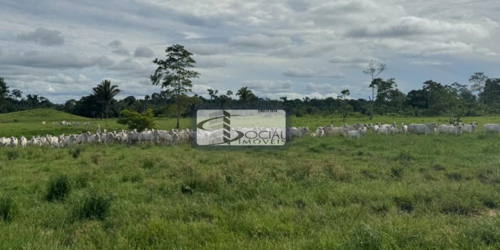 batch_WhatsApp Image 2026-01-15 at 16.41.58