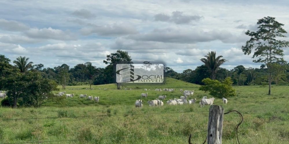 batch_WhatsApp Image 2026-01-15 at 16.41.59 (1)