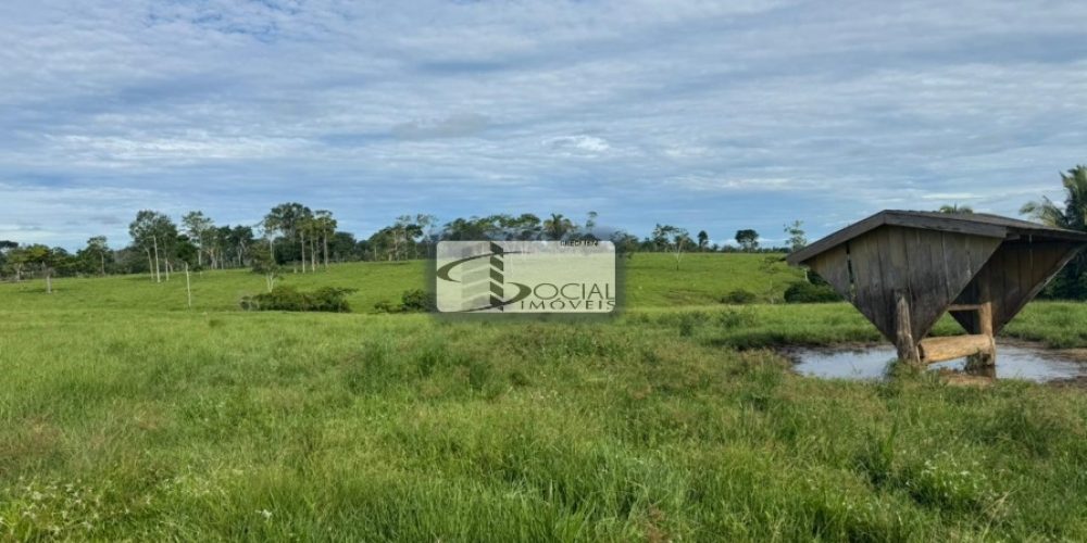 batch_WhatsApp Image 2026-01-15 at 16.41.59