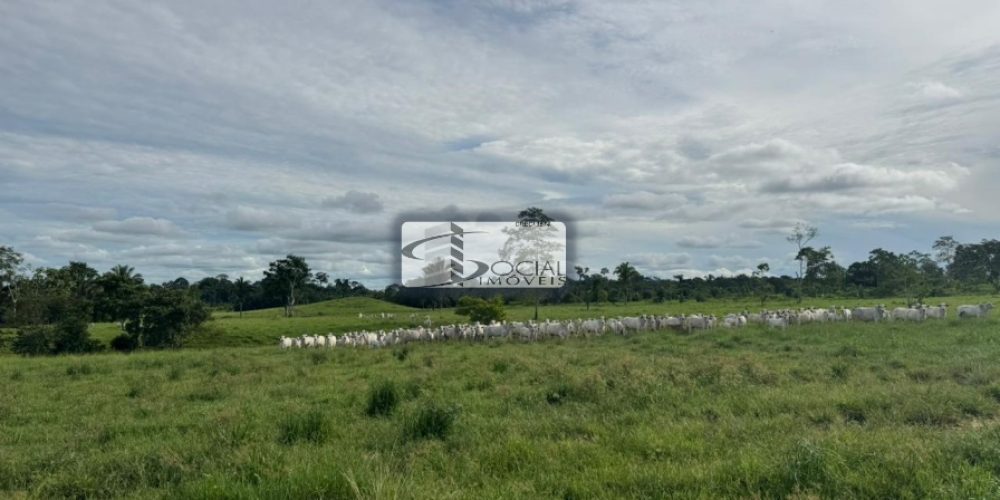 batch_WhatsApp Image 2026-01-15 at 16.42.00 (2)