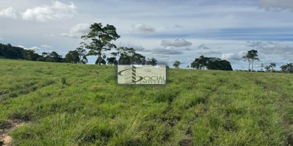 batch_WhatsApp Image 2026-01-15 at 16.42.00