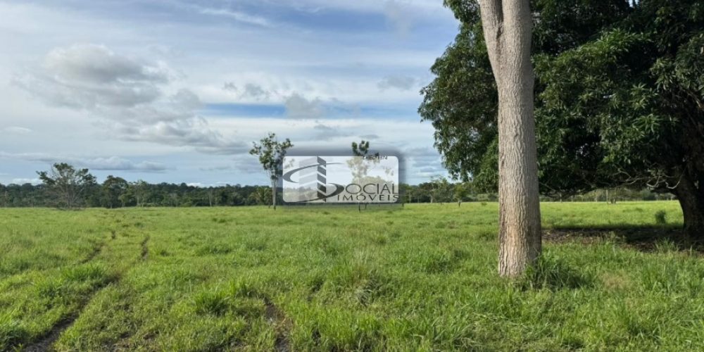 batch_WhatsApp Image 2026-01-15 at 16.42.01 (1)